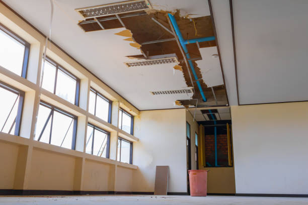 Best Water damage contractors near me  in Elk Point, SD