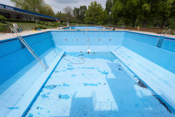 Best Basement water damage restoration  in Elk Point, SD