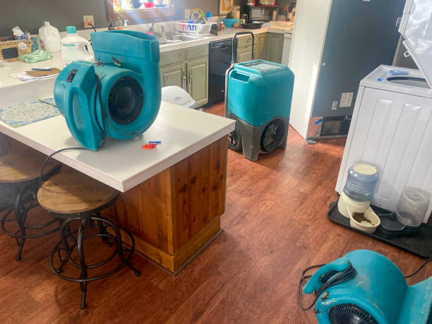 Best Ceiling water damage repair  in Elk Point, SD