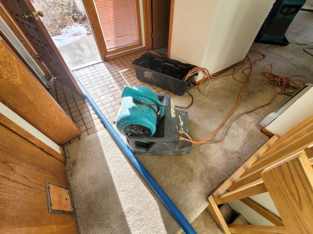 Best Carpet water damage restoration  in Elk Point, SD