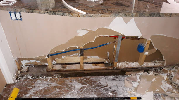 Best Water damage restoration near me  in Elk Point, SD