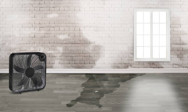 Reliable SD Water damage restoration Solutions