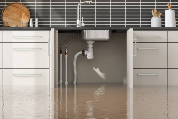 Best Flood damage cleanup  in Elk Point, SD