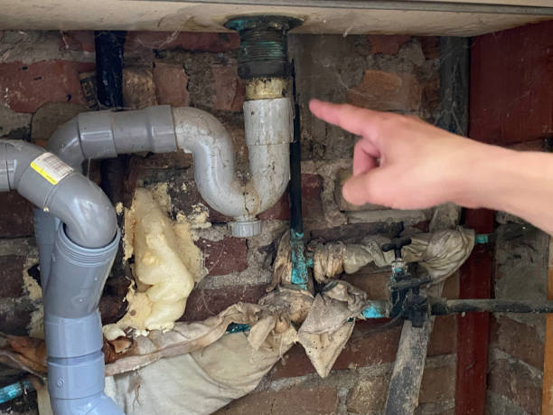 Best Emergency water damage restoration  in Elk Point, SD