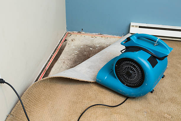 Best Professional water damage repair  in Elk Point, SD
